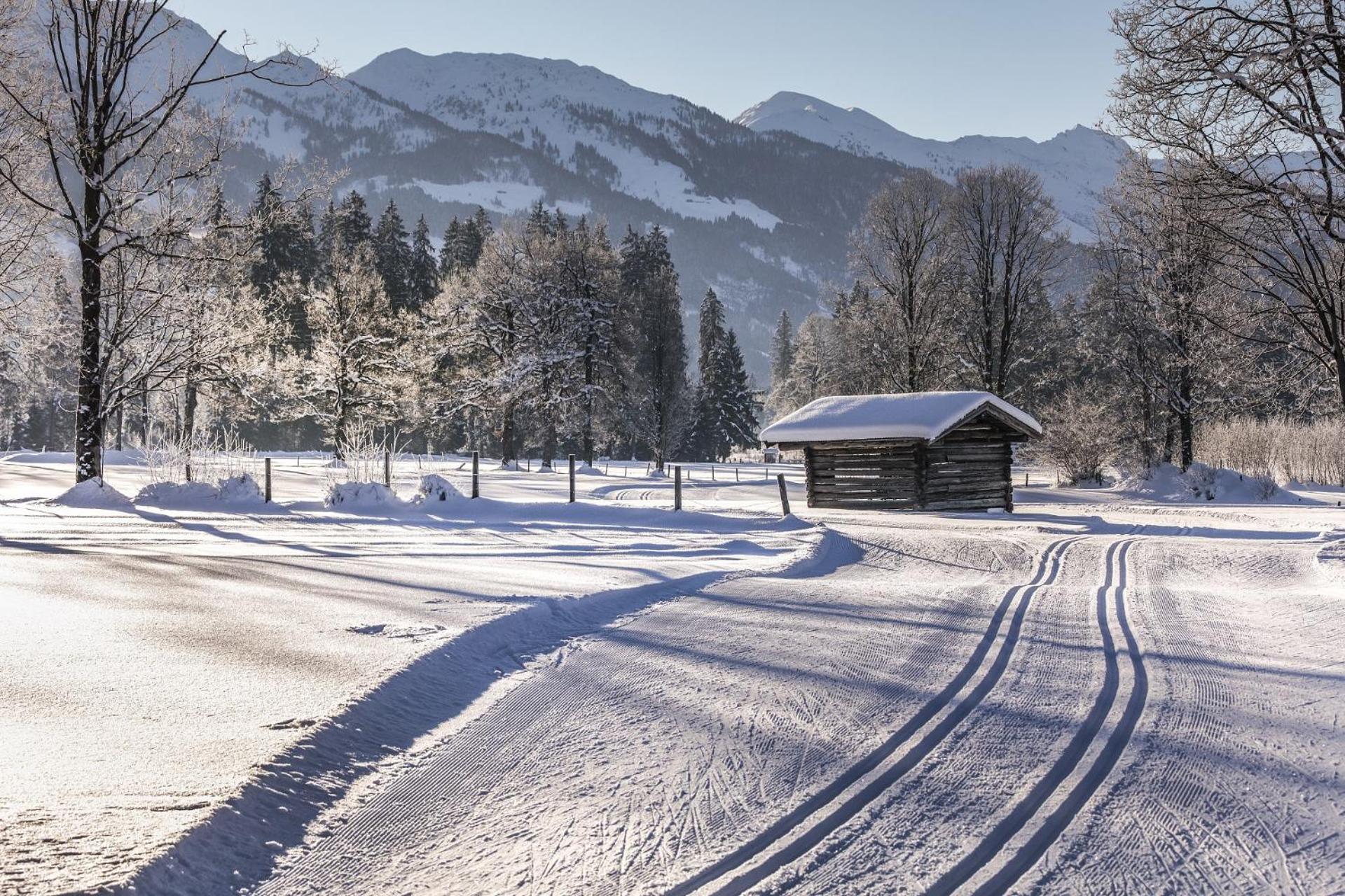 Pension Wolfsegg Kirchberg in Tirol Esterno foto